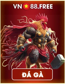 Ảnh đá gà